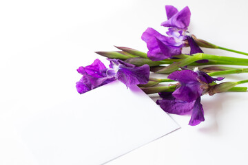 A bouquet of iris flowers and a sheet of white paper are on a white background. Spring holiday greetings theme. Free space for text.