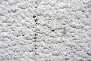 Beautiful snow cover is imposed, put on the whole tree, wooden background. 