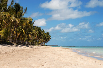 Beautiful view of Brazilian beach on the northeast coast, Maragogi, Alagoas State.