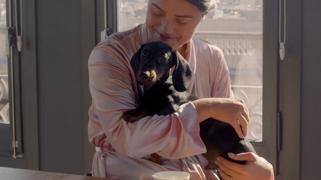 Beautiful young female with dark hair in a bun holding a black dachshund small dog. She is wearing silky rose robe. The woman is happy and laughing. Still photo high-quality image.