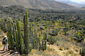 Vallée des volcans d'Andagua, Andahua, Pérou