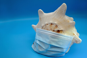 OP-mask on a white seashell