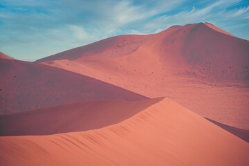 Fototapeta na wymiar Atmospheric view on sand dunes in the desert of Namibia, Sossusvlei.