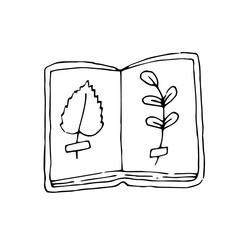 Herbarium. Dried leaves in a book. Vector hand drawn doodle illustration. Black and white outline. Coloring. Silhouette.