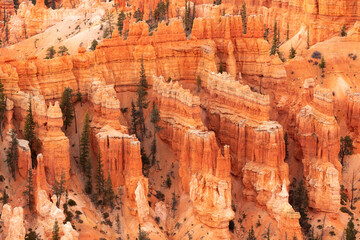 Bryce Canyon National Park, Utah, USA