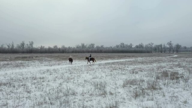 Couple in love riding horses in winter forest 4K. Winter landscape drone flight