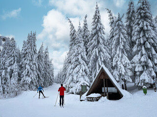 Skifahrer am Rennsteig / Thüringer Wald