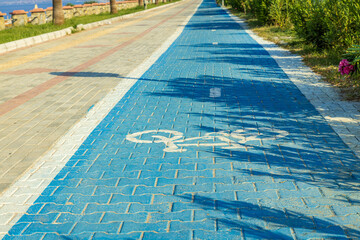 Cycling a sea shore line through a marked special bicycle road.