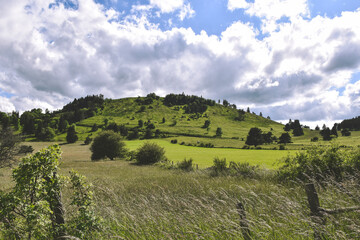 Obraz premium landscape