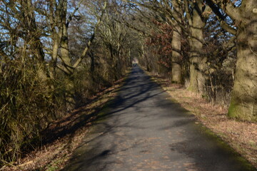 Fototapeta premium Zollenspieker_111 