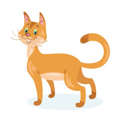 Cute funny kitten turns around. In cartoon style. Isolated on white  background. Vector flat illustration.