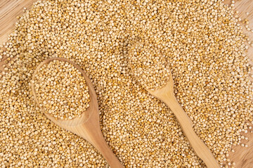 Quinoa in a wooden spoon. Gluten free Healthy food. Diet, dieting concept. Seeds of white quinoa - Chenopodium quinoa