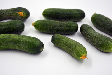 Fresh delicious ripe natural green cucumbers growing on a Ukrainian garden, vegetable garden, field. 