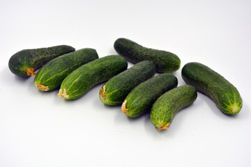 Fresh delicious ripe natural green cucumbers growing on a Ukrainian garden, vegetable garden, field. 
