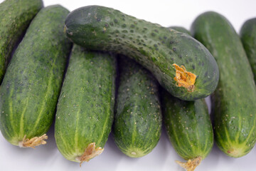 Fresh delicious ripe natural green cucumbers growing on a Ukrainian garden, vegetable garden, field. 