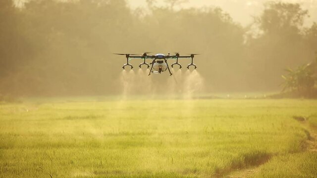 Agriculture drone fly to sprayed fertilizer on the rice field. industrial revolution.