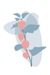 Abstract Physalis branch. Vector carton flat illustration