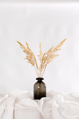 Pampasgras Trockenblumen arrangiert in einer schlichten braunen Glasvase auf weißem Hintergrund