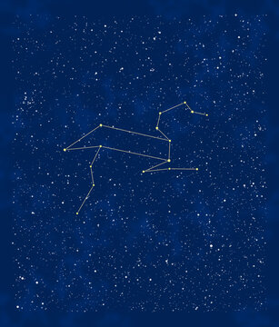 春の星座：しし座と周辺の星