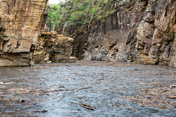 Surface of the lake water covered with organic dirt like leaves and branches brought by rainwater. Photo at Lake of Furnas, Capitólio MG Brazil.