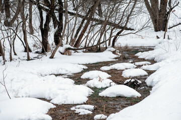 The beginning of spring in a snowy forest. Forest stream.