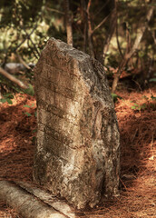 Fototapeta premium Old large stone covered with moss in the forest close-up. Granite stone, with the text in Russian 