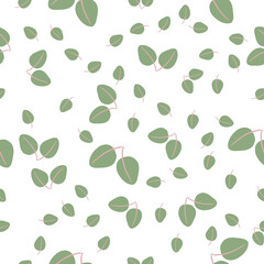 seamless vector pattern with eucalyptus leaves in different sizes