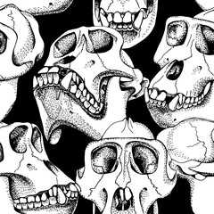 Seamless pattern with image of a skull monkey. Vector black and white illustration.