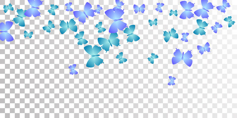 Fairy blue butterflies flying vector background. Summer cute moths. Simple butterflies flying baby illustration. Delicate wings insects graphic design. Garden creatures.
