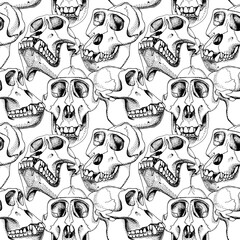 Seamless pattern with image of a skull monkey. Vector black and white illustration.