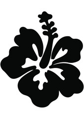 Hibiscus, Hawaii Flower, Summer, Gift, Plant, Spring