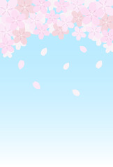 桜の花と花びら舞う背景 / vector eps