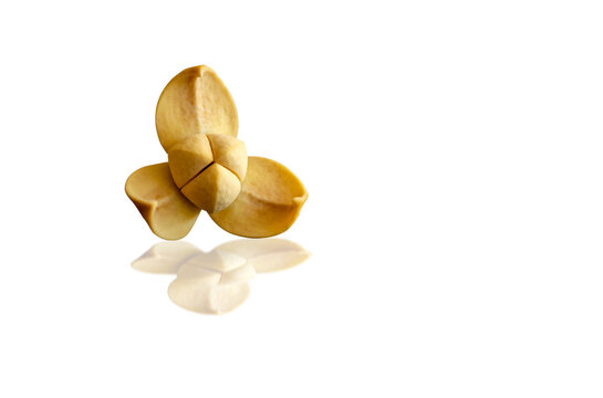 Melodorum fruticosum leaf and yellow flower isolated on white background.Fragrant flowers.