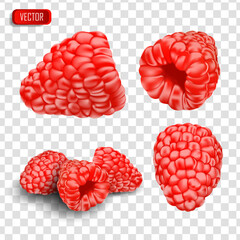 Set of realistic raspberries. Vector illustration of berries isolated on transparent background