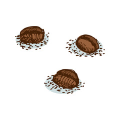 Coffee Beans Illustration