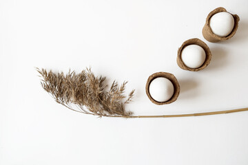 Minimalist concept with Easter white eggs in peat pots.