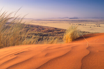 Namibian dune landscape during sunset.