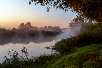 Piękny poranek z mgłami w Dolinie Narwi,Podlasie, Polska