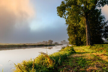 Piękny poranek z mgłami w Dolinie Narwi,Podlasie, Polska © podlaski49