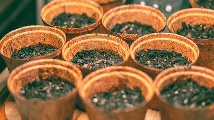 Seedling Pots