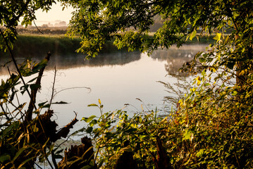 Piękny poranek z mgłami w Dolinie Narwi,Podlasie, Polska © podlaski49