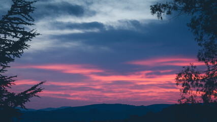 Napa Sunrise