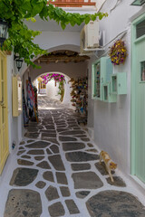 Fototapeta na wymiar Traditional Cycladitic alley with narrow street, whitewashed facade of stores a cafe exterior and a blooming bougainvillea in Naousa Paros island, Greece.
