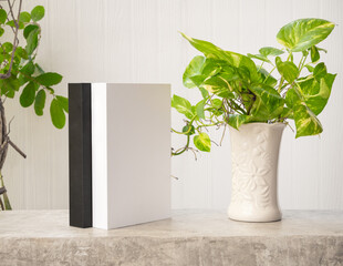 Mock up black and white book and House plant Spotted betel or Australian native monstera or devil's ivy in white vase on concrete shelf wooden background