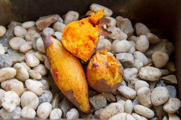 Bake sweet potato on rocks, Delicious Yam potato at outdoor camp