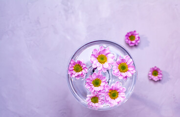 A glass with pink flowers on a lilac background has a top view. Spring, minimalist still life