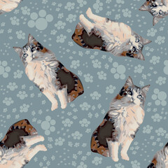 Fluffy cat surface pattern