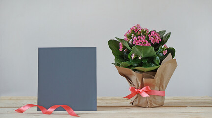 Kalanchoe flower in craft paper with a ribbon and gray card      