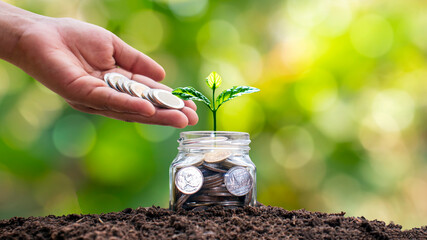 A tree that grows from a money bottle and a hand that gives a coin. Tree. Financial ideas and growing economic direction.