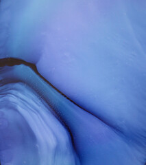 Modern abstract painting made of alcoholic ink. Colorful abstract painting background. Abstract colorful background, wallpaper. Modern art. Paint marble texture. Closeup of the pain 